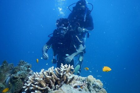 800px-Scuba_Diving_Havelock