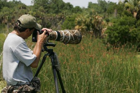 800px-Wildlife_photographer_captures_wildlife